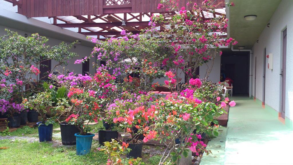 ホテルPatio House Reef 座間味村 エクステリア 写真