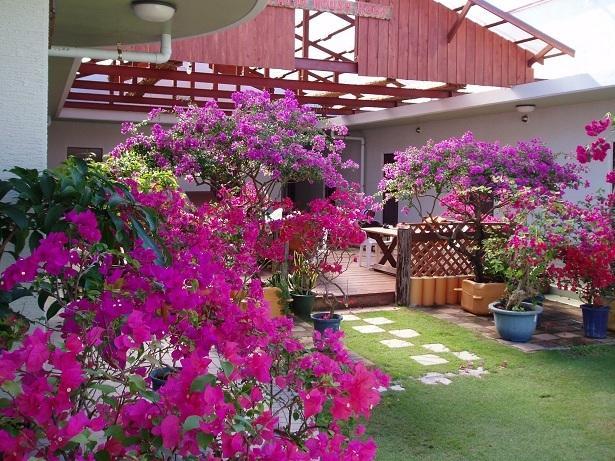ホテルPatio House Reef 座間味村 エクステリア 写真